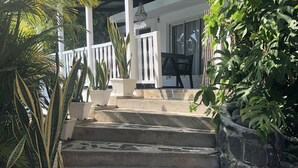 A set of stone steps leading to a covered porch with a white railing, surrounded by various potted plants and greenery. - Bellevue Tamarin (Tamarin)