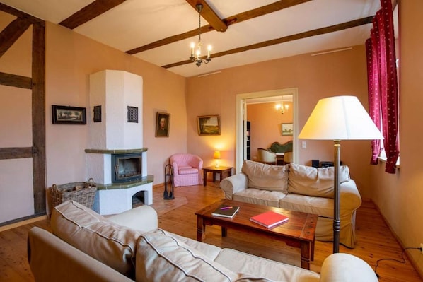 TV, fireplace, books