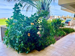 A garden area with various plants and flowers, a tiled walkway, and a view of residential buildings in the background. - Stunning 1-bed Apartment in Larnaca Near the sea (Pervolia)