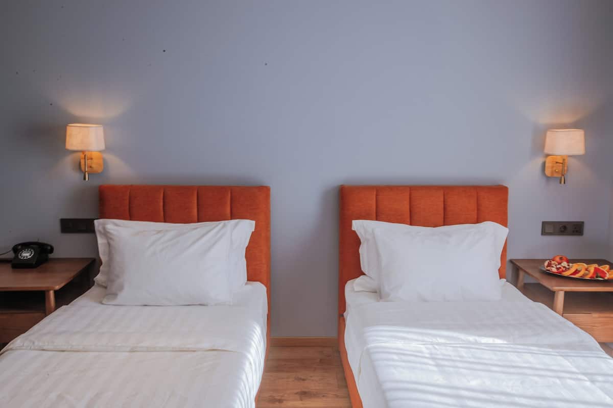 Chambre Ăconomique avec lits jumeaux | Literie de qualitĂ© supĂ©rieure, bureau