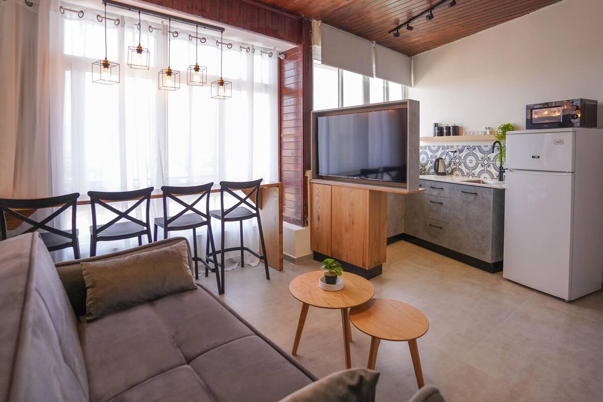 A modern living room with a sofa, chairs, a TV, and a small table with a plant.