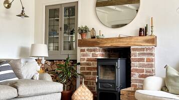 智能電視、壁爐、書籍