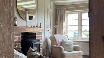 TV connectée, cheminée, livres