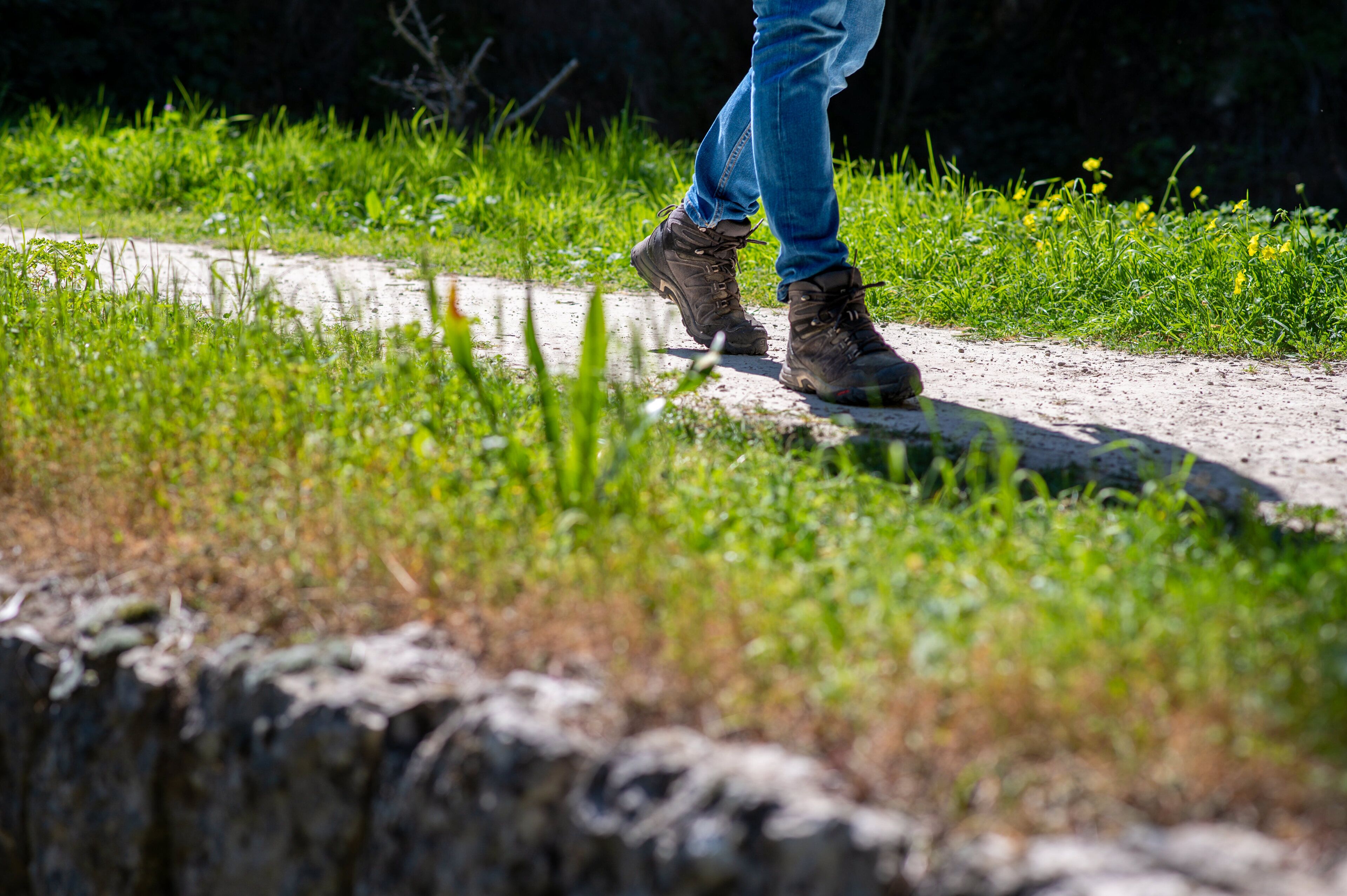 A person walking on a dirt path surrounded by greenery.
