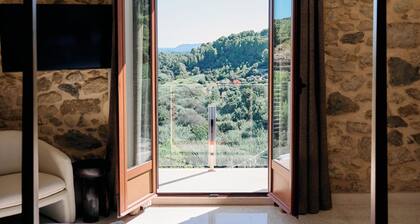 Young Hotels Spain SL