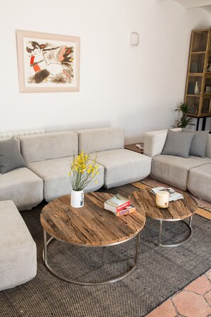 TV, fireplace, video games, DVD player