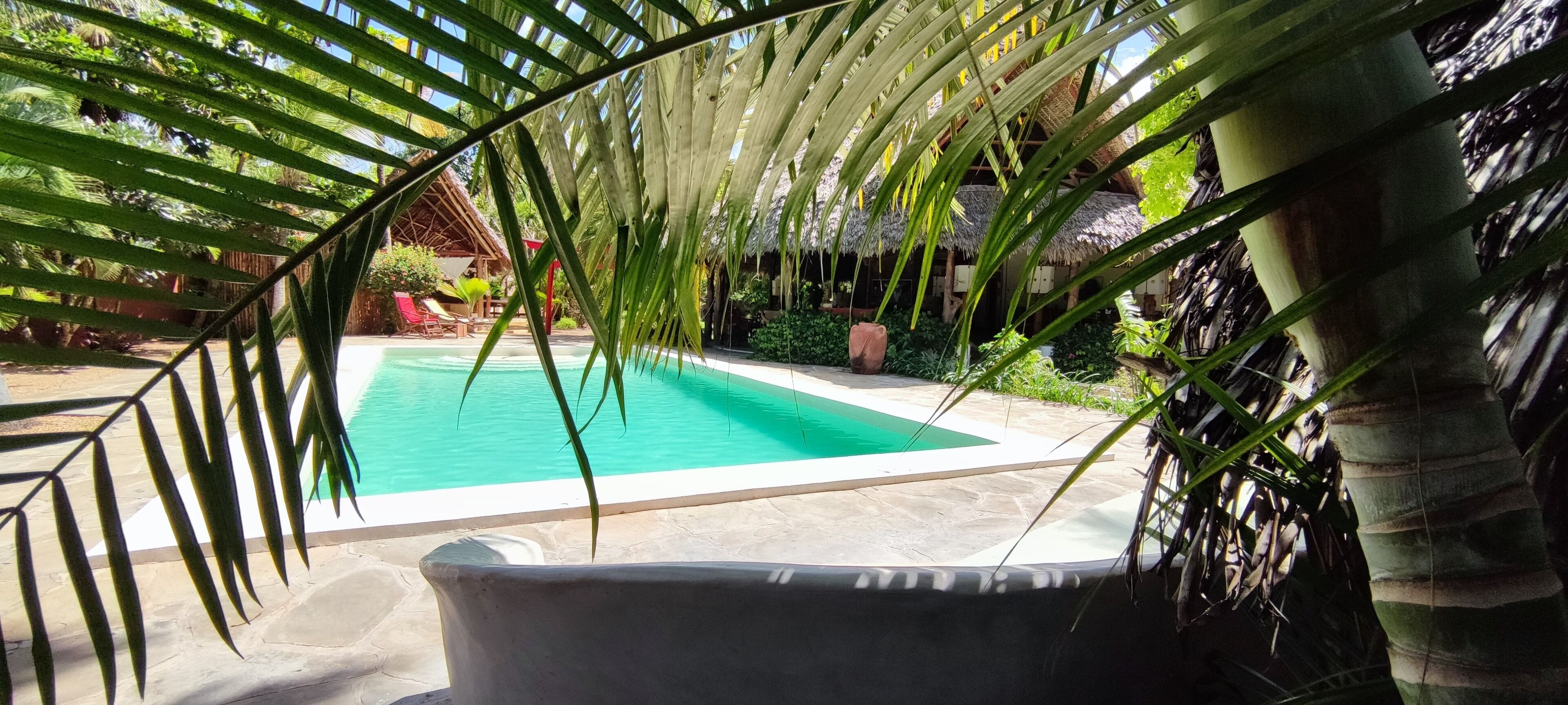 Una piscina circondata da piante tropicali e una struttura con tetto di paglia.