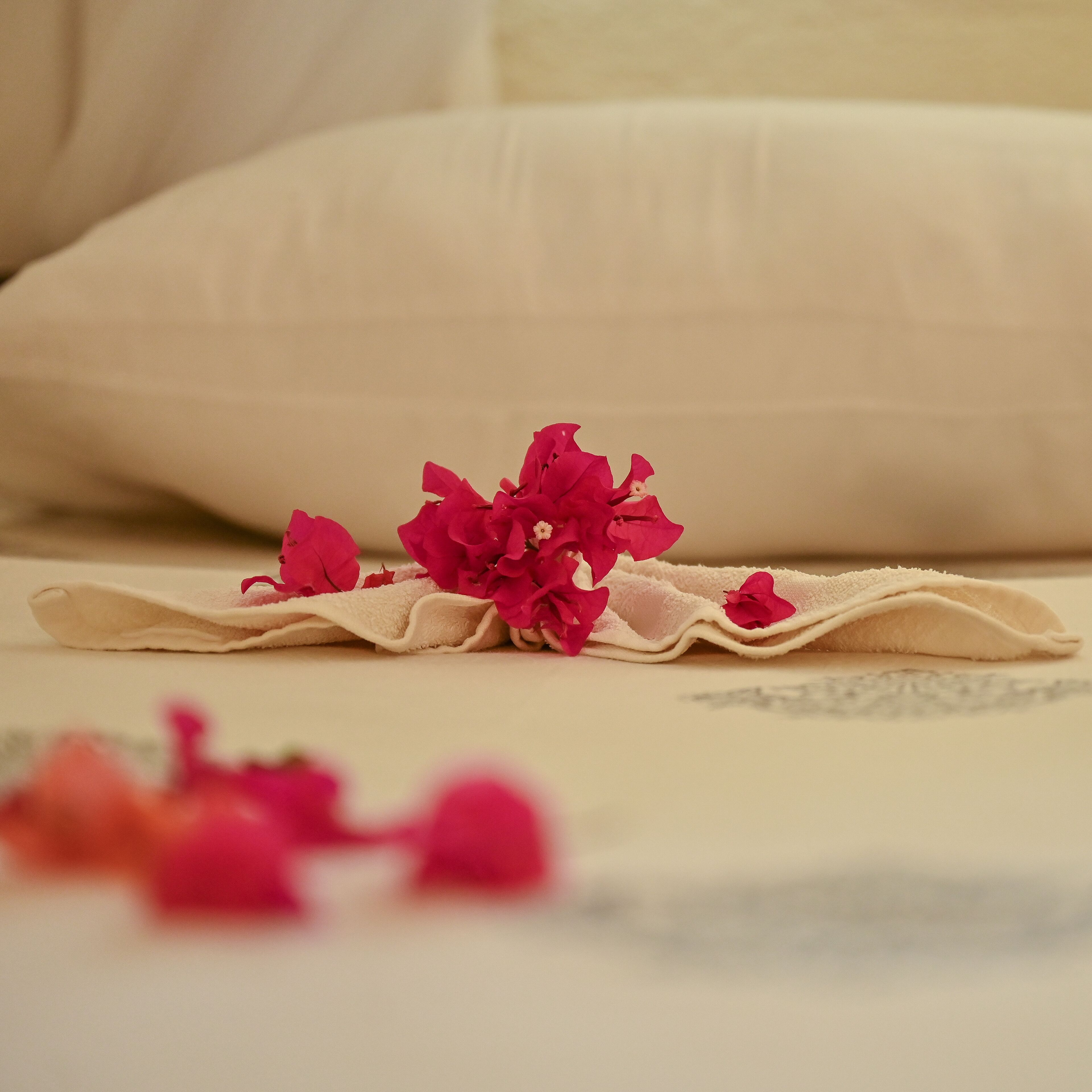 Foto - Lions' Luxury Eco Resort & Spa