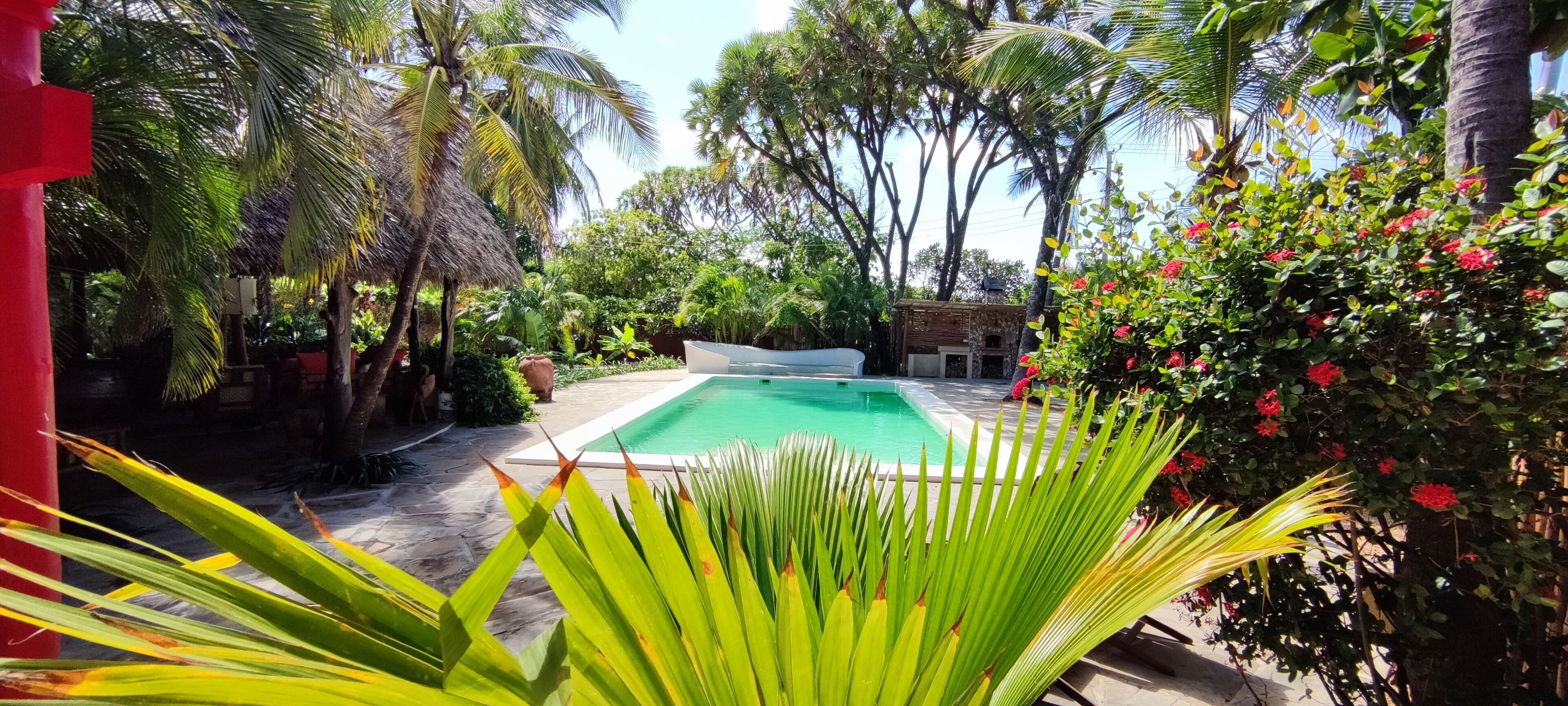 Une piscine entourée d’une végétation luxuriante et de palmiers.
