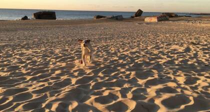 👨👩👧👦👨👨👧👦 Children's paradise! Luxury Garden Villa, Walk to Beach!