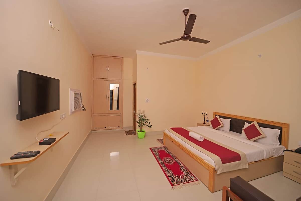 A bedroom with a bed, bedside table, TV, ceiling fan, and a potted plant.
