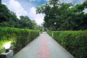 A pathway flanked by neatly trimmed hedges and trees, leading towards a distant structure. - Fabhotel Corbett Green View Garden And Stay (Ramnagar)