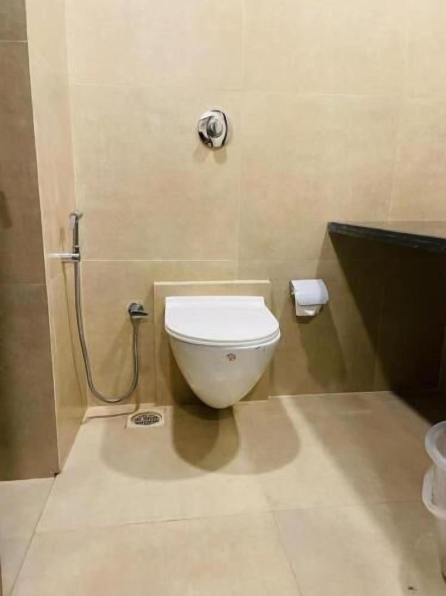A bathroom with a toilet, a hand shower, and a toilet paper dispenser.