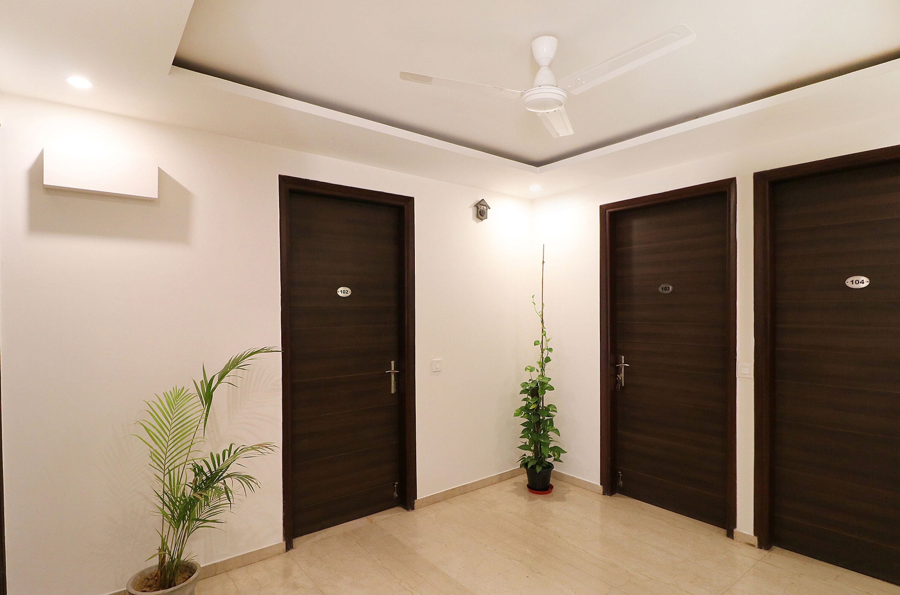A hallway with three dark wooden doors, a ceiling fan, a potted plant, and a light fixture on the wall.