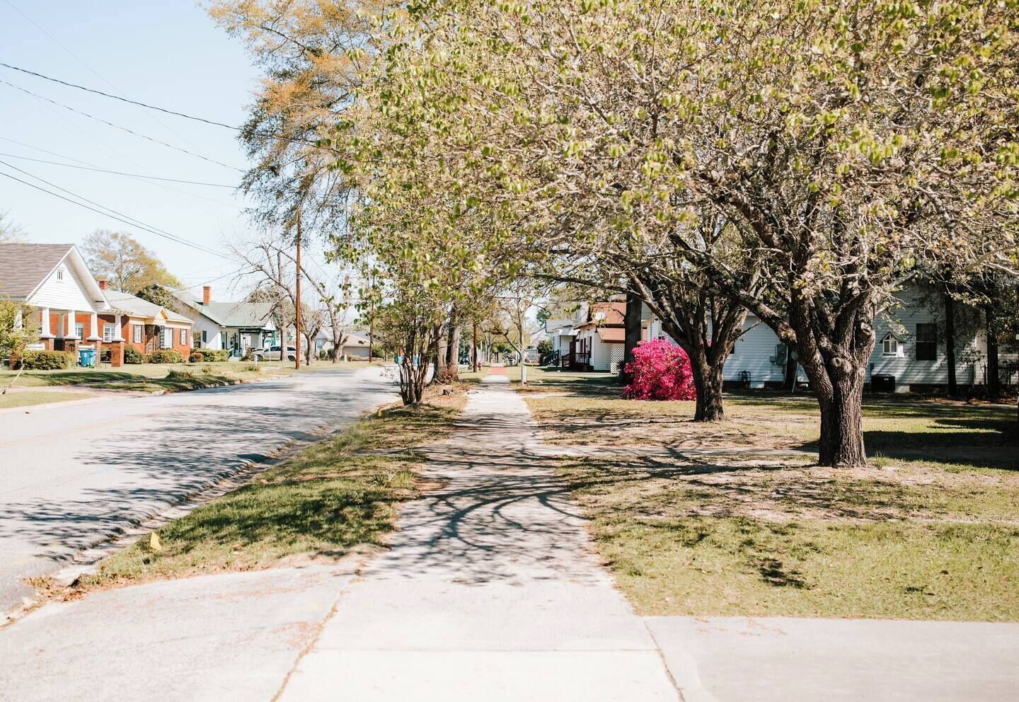 Une rue résidentielle bordée d’arbres et de maisons.