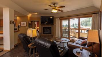 Televisión, chimenea, libros