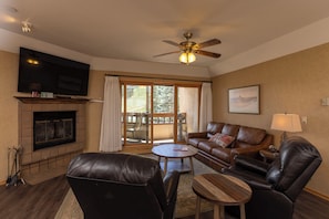 TV, fireplace, books