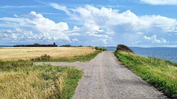 A gravel path leading to a body of water, surrounded by fields and a clear sky.