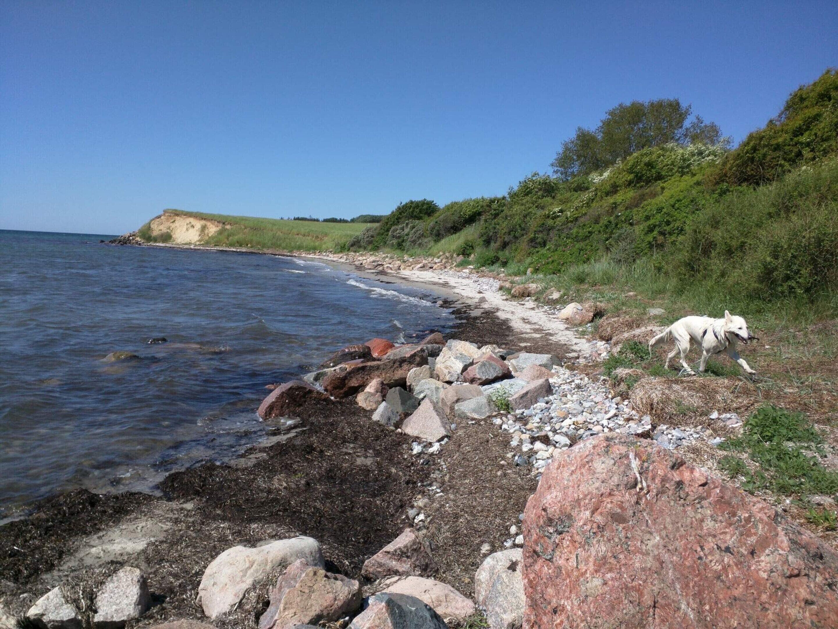 Un paysage côtier avec une rive rocheuse, un chien blanc et un ciel dégagé.