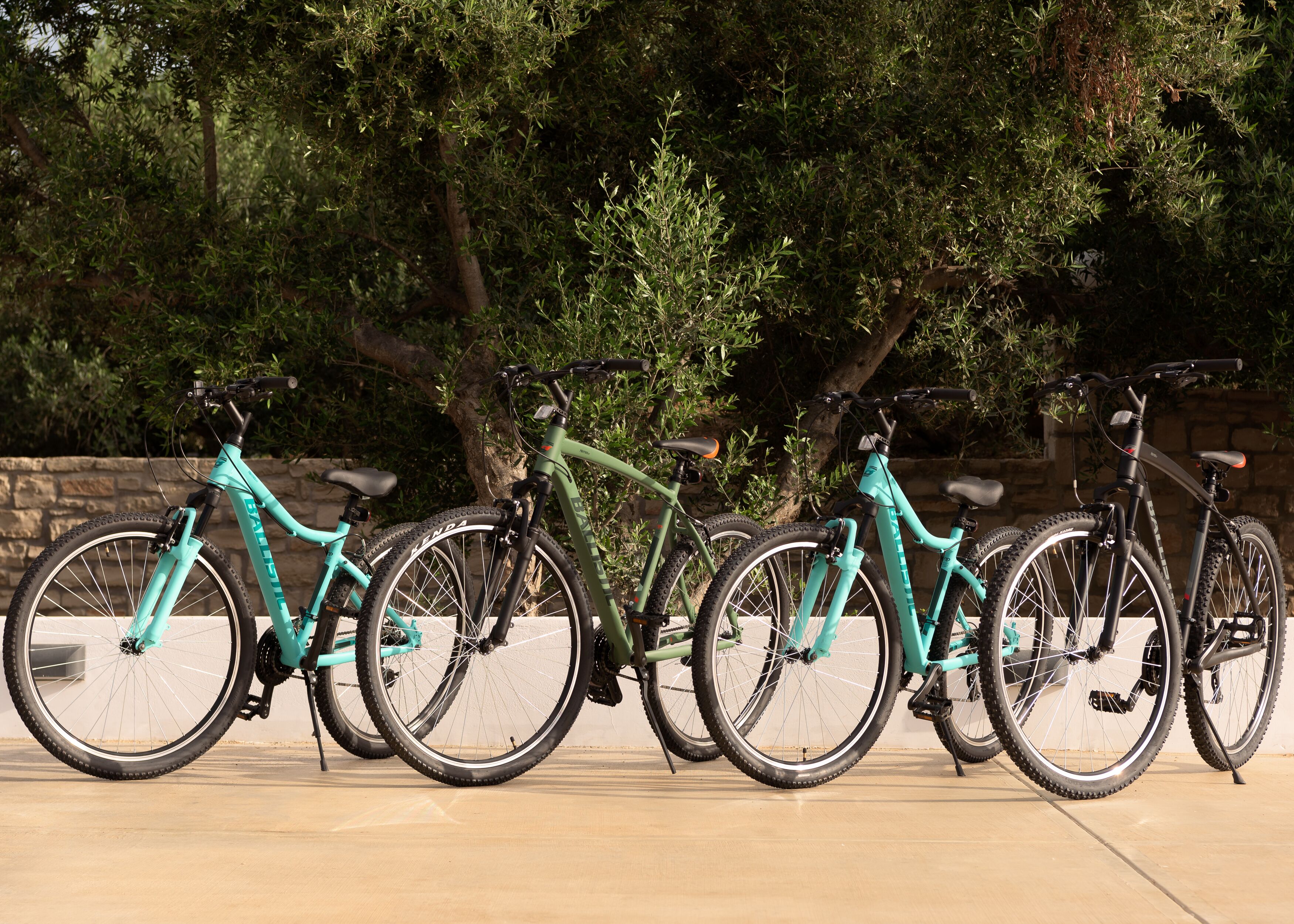 Jardines del alojamiento