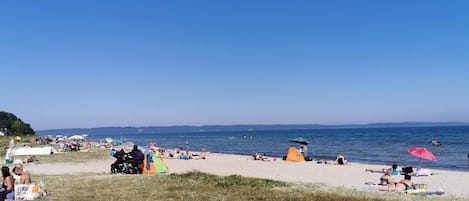 A beach with people sunbathing and swimming, tents, and umbrellas.