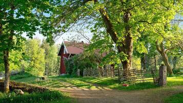 A rural path leading to a red barn surrounded by trees and a wooden fence.