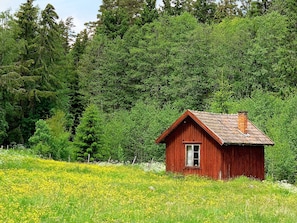 A small red wooden cabin with a sloped roof, surrounded by a field of yellow flowers and dense forest in the background. - 4 Star Holiday Home in Nassjo (Nassjo)