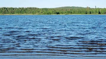Un lago tranquilo con una orilla arbolada.