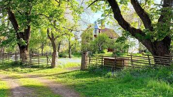 A rural path with a wooden fence, trees, and a building in the background.