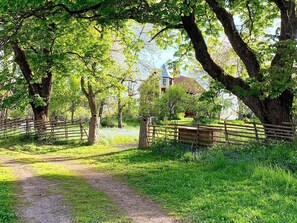 Un camino rural con una cerca de madera, árboles y un edificio al fondo.