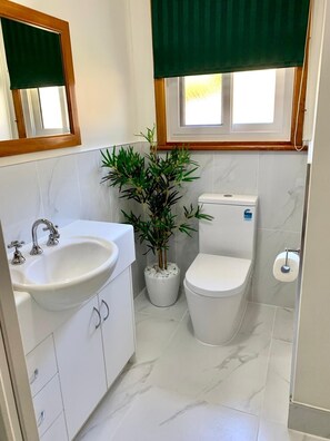 Shower, free toiletries, hair dryer, towels