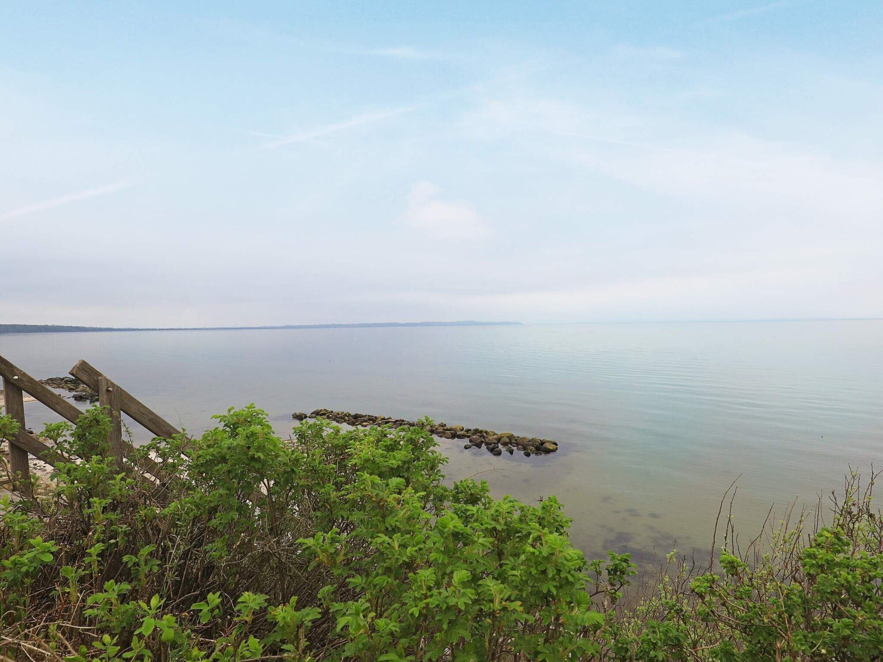 A calm lake with a wooden dock and dense greenery in the foreground.