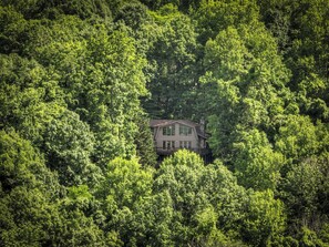 Exterior - Welcome to Starlight Mountain: Pet-friendly haven boasting stunning mountain views, hot tub, fire-table, pool table, and reliable WiFi (Ellijay)