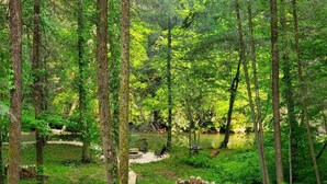Un campamento arbolado con un sendero de grava, una pila de leña y un pequeño claro con una fogata.