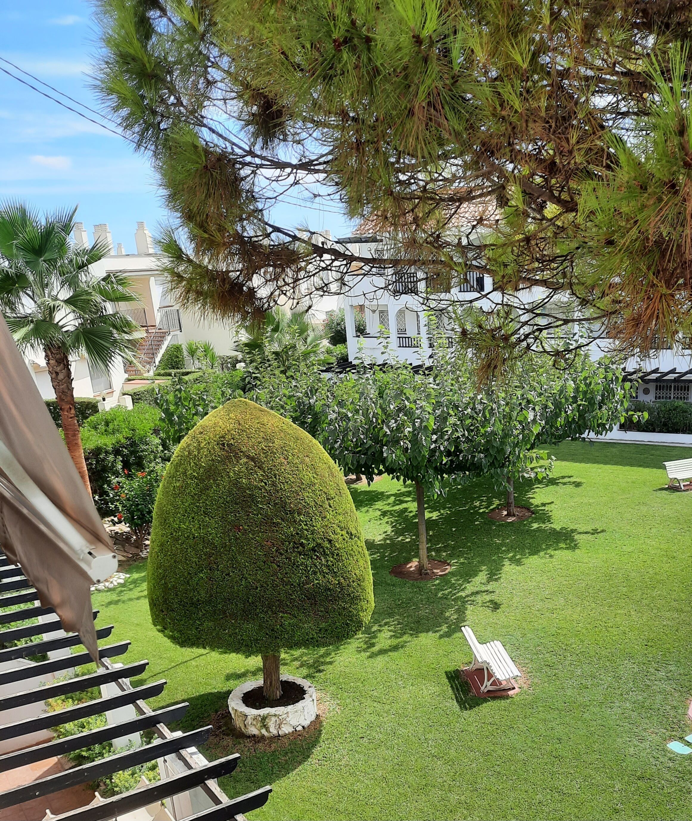 Terrein van de accommodatie