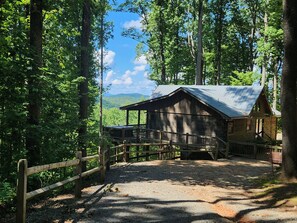 Property grounds - Up, Up and Away is pet friendly with a beautiful mountain view, hot tub, firepit, WiFi and fenced yard (Blue Ridge)