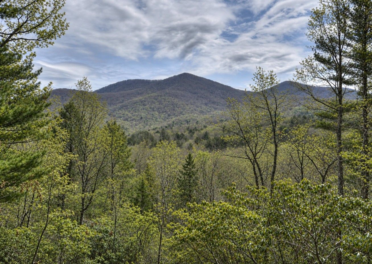 Un paysage montagneux caractérisé par une végétation forestière dense et un ciel dégagé.