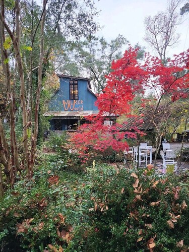 Walker World, a world created from the past that allows you to be present.