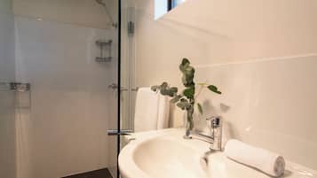 Executive Apartment | Bathroom | Shower, hair dryer, towels, soap