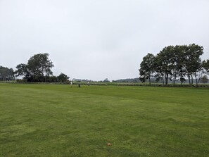 Um vasto campo gramado, com árvores e um muro de pedra ao fundo.
