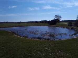 A pond surrounded by grass with a clear sky.