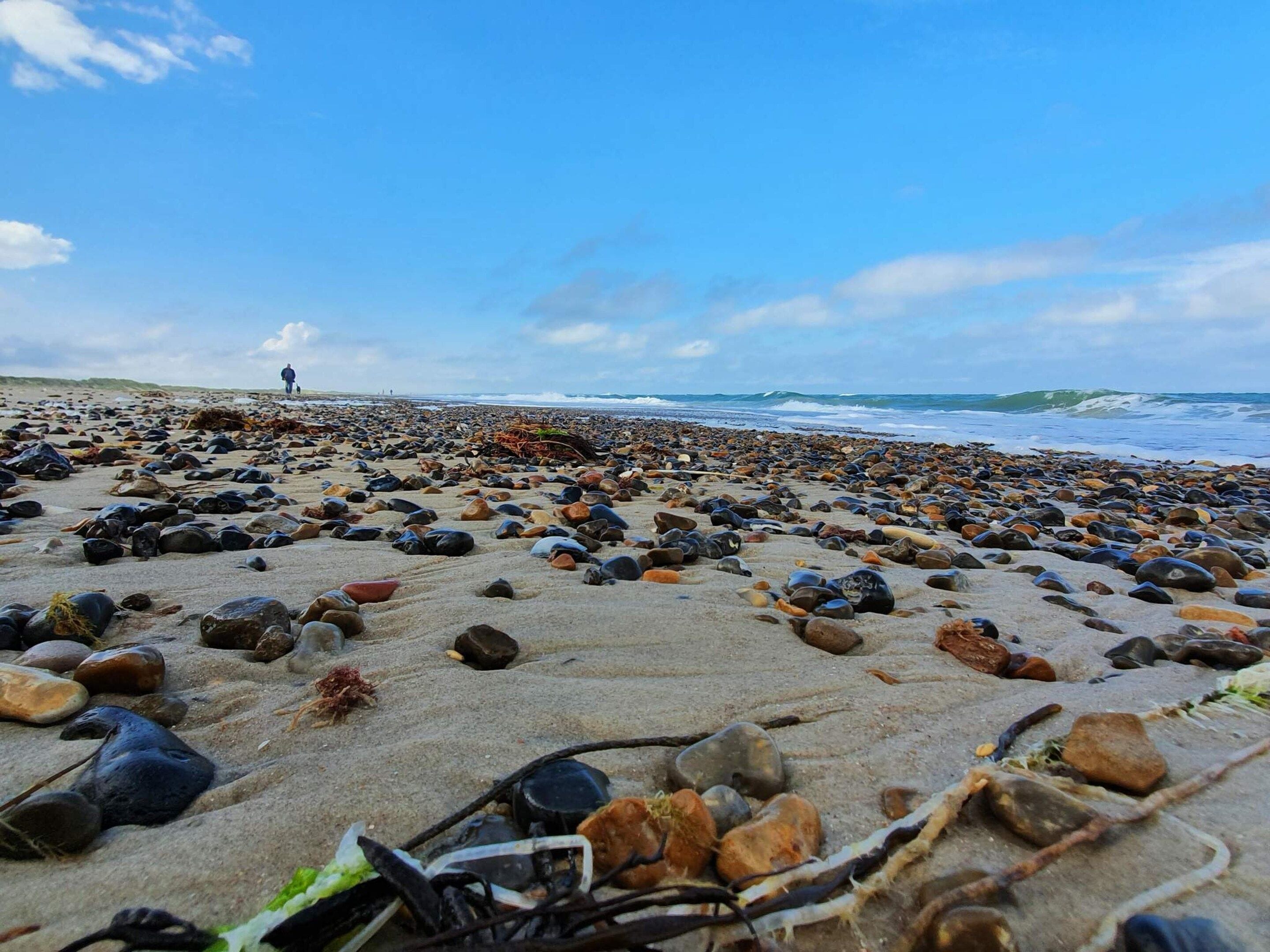 Une plage s’étendant sur une vaste zone de galets et d’algues, une personne marchant au loin, et les vagues de l’océan qui se rapprochent.