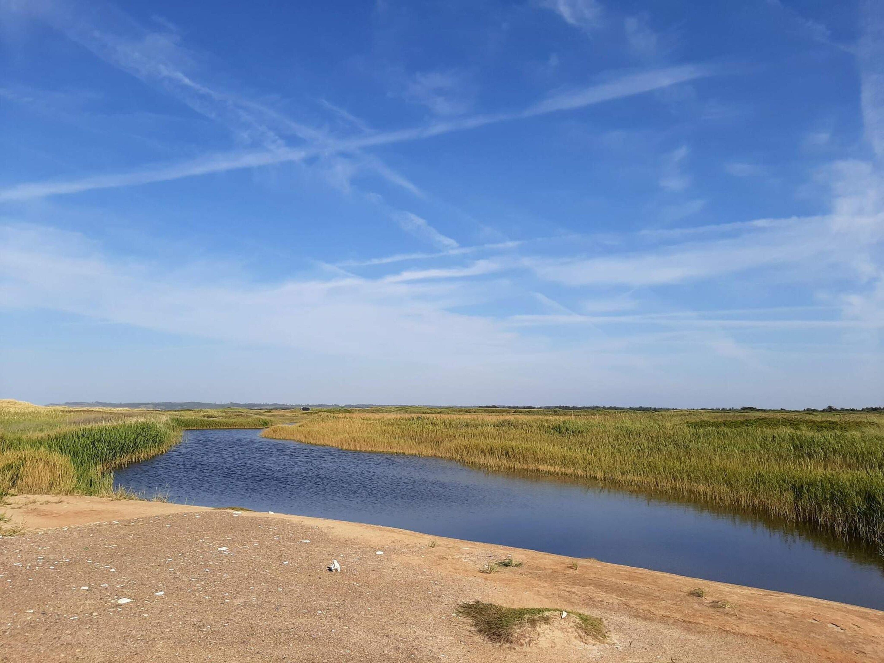 A natural landscape with a body of water, grassy fields, and a clear sky.
