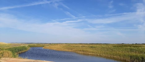 A natural landscape with a body of water, grassy fields, and a clear sky.