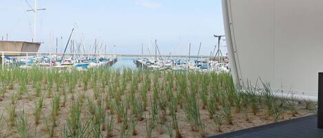 Apartment | Exterior