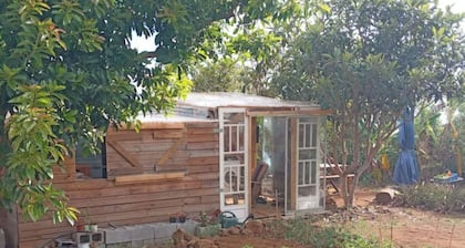 Very simple cabin