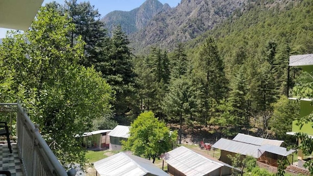 Un paisaje montañoso con varios edificios, incluyendo un árbol grande y una estructura pequeña con techo de metal.