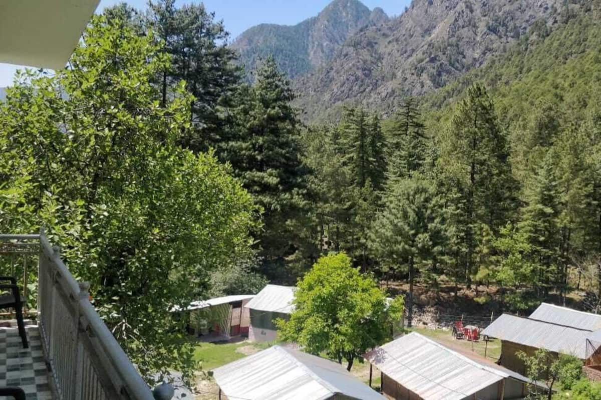 Un paisaje montañoso con varios edificios, incluyendo un árbol grande y una estructura pequeña con techo de metal.