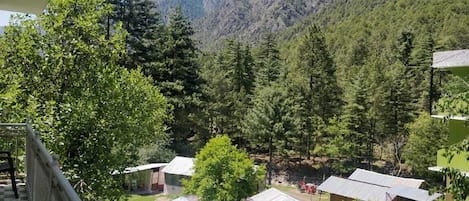 Family Quadruple Room | Exterior