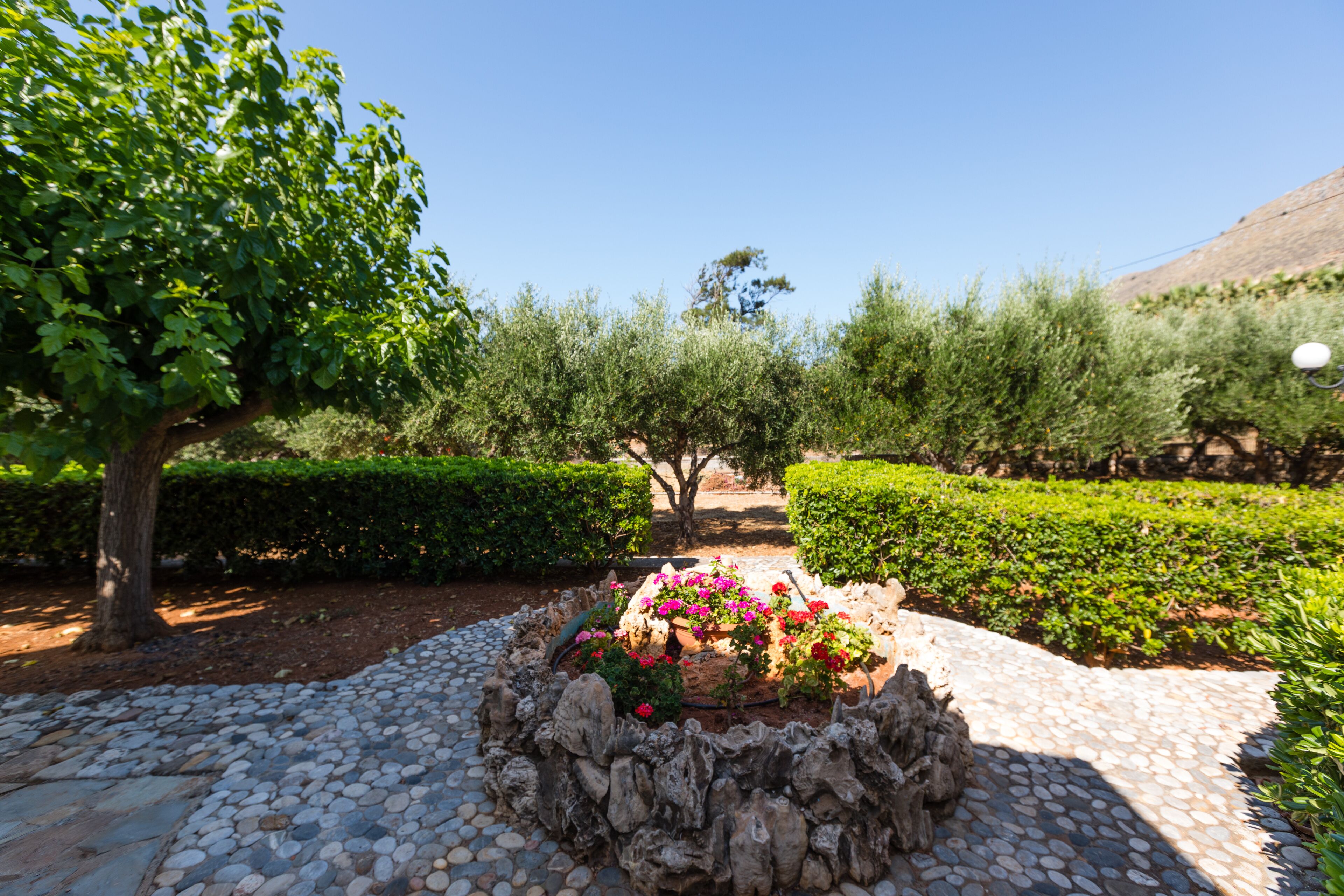 Un jardin avec un chemin de pierre, un arbre au centre et des parterres de fleurs.
